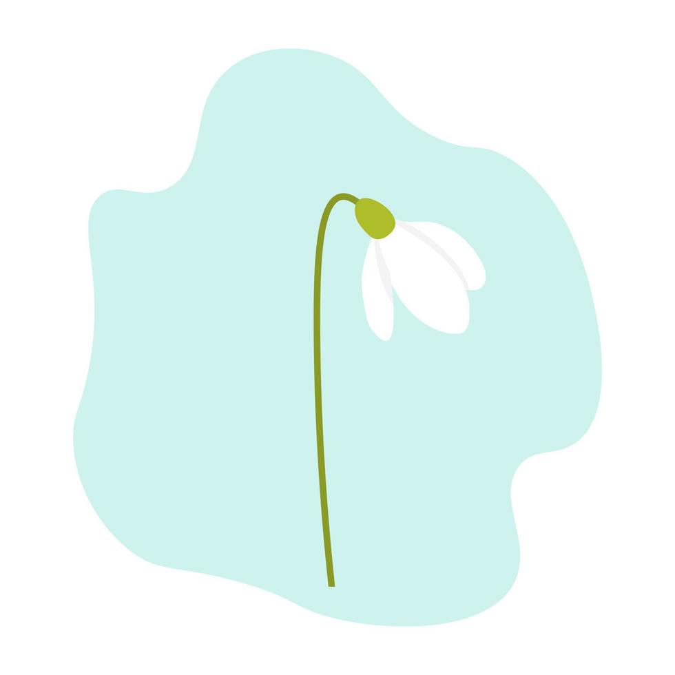 Spring snowdrop flower. Vector illustration