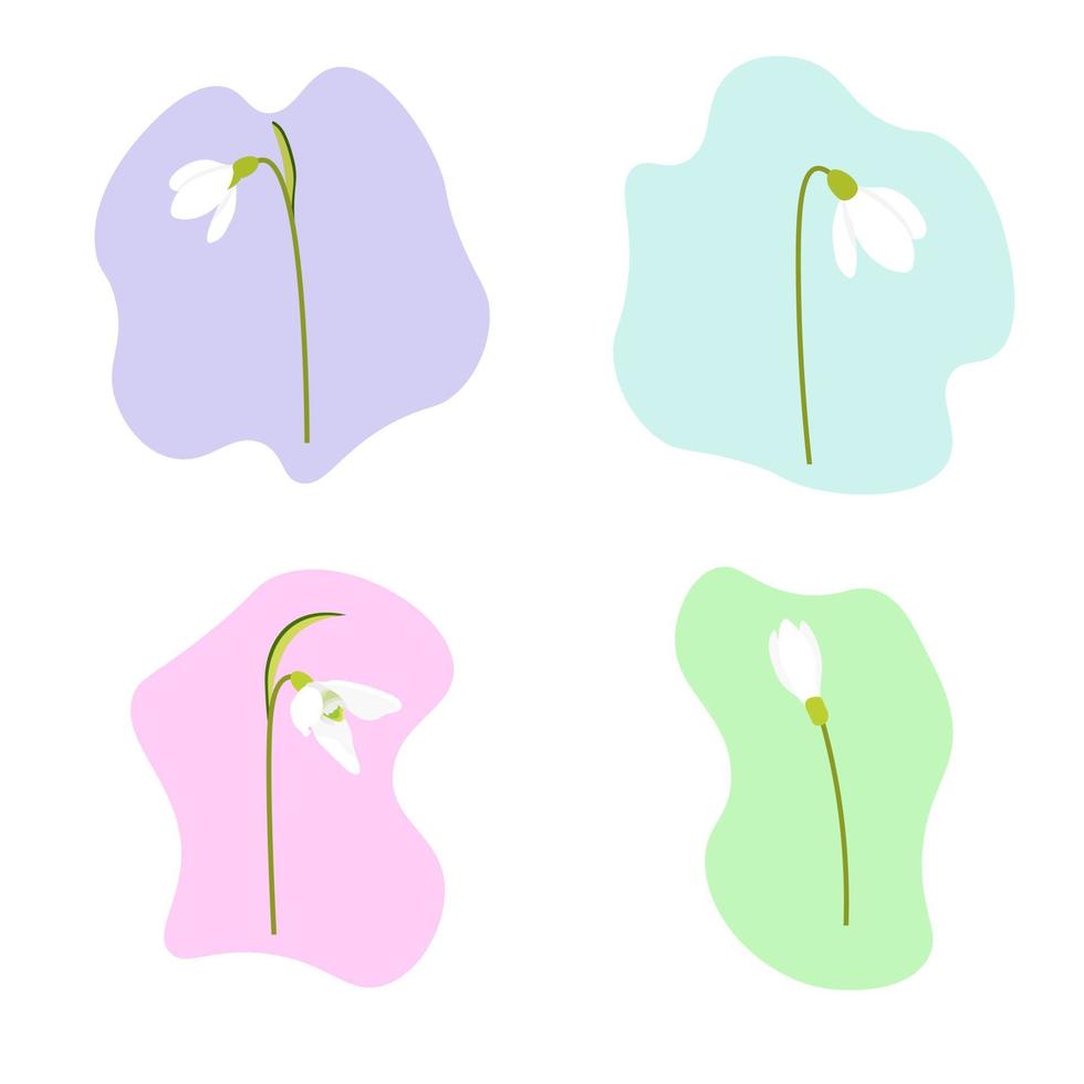 Set of spring flowers. White snowdrops vector