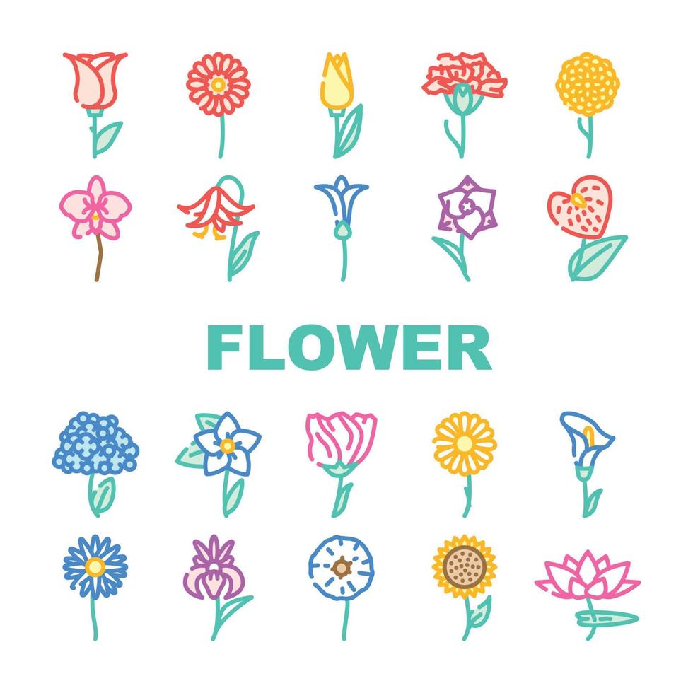 Flower Natural Aromatic Plant Icons Set Vector
