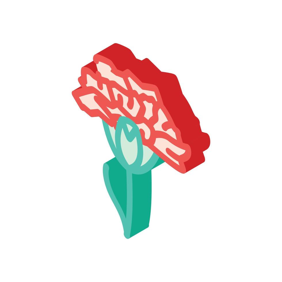 carnation flower isometric icon vector illustration
