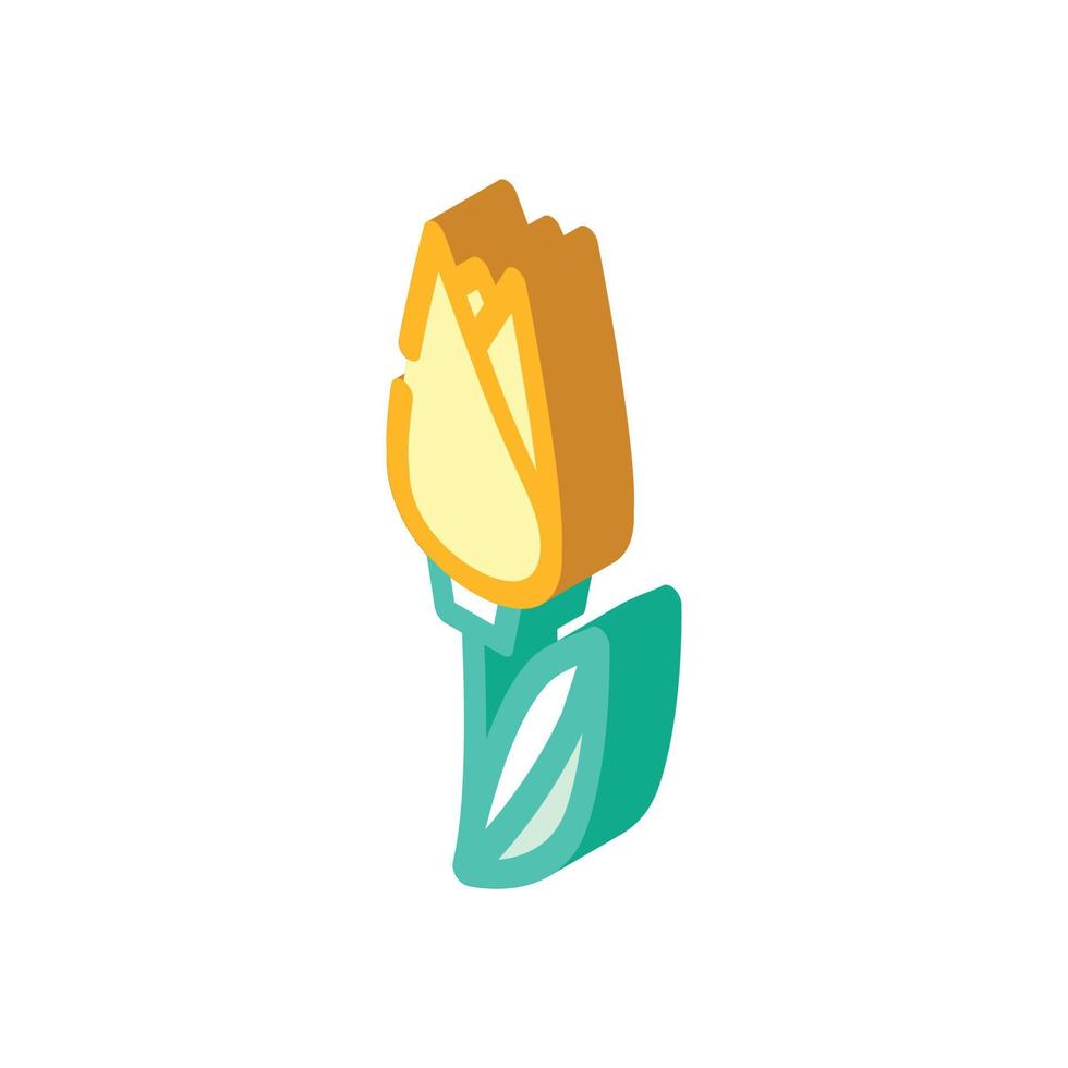 Ilustración de vector de icono isométrico de flor de tulipán