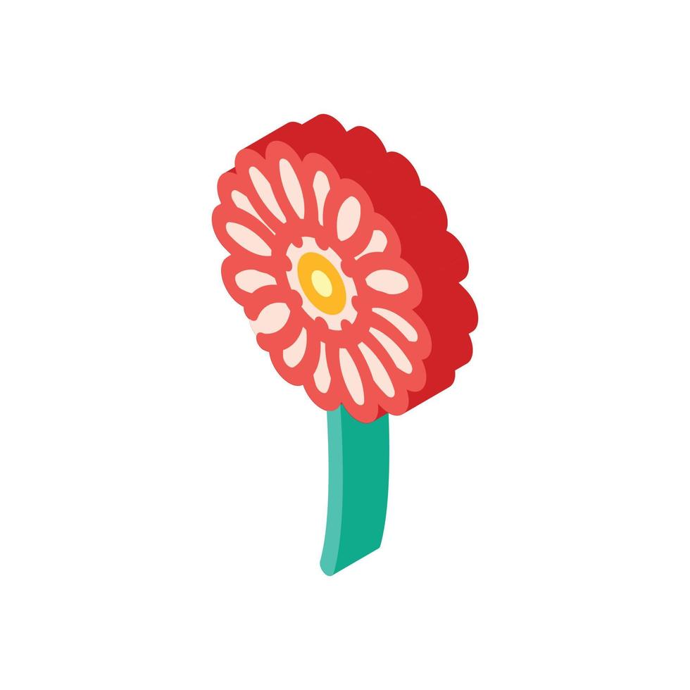 gerbera flower isometric icon vector illustration