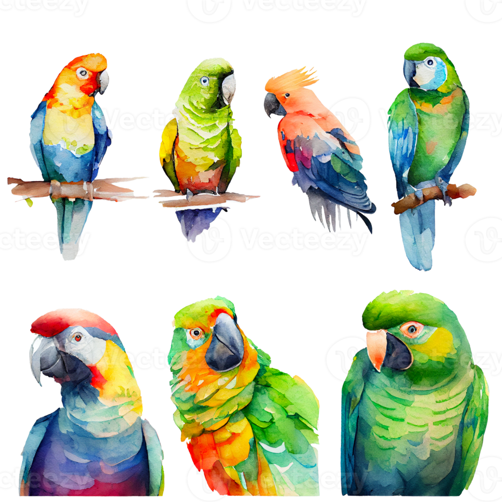Set of watercolor parrots painting on transparent background, PNG file