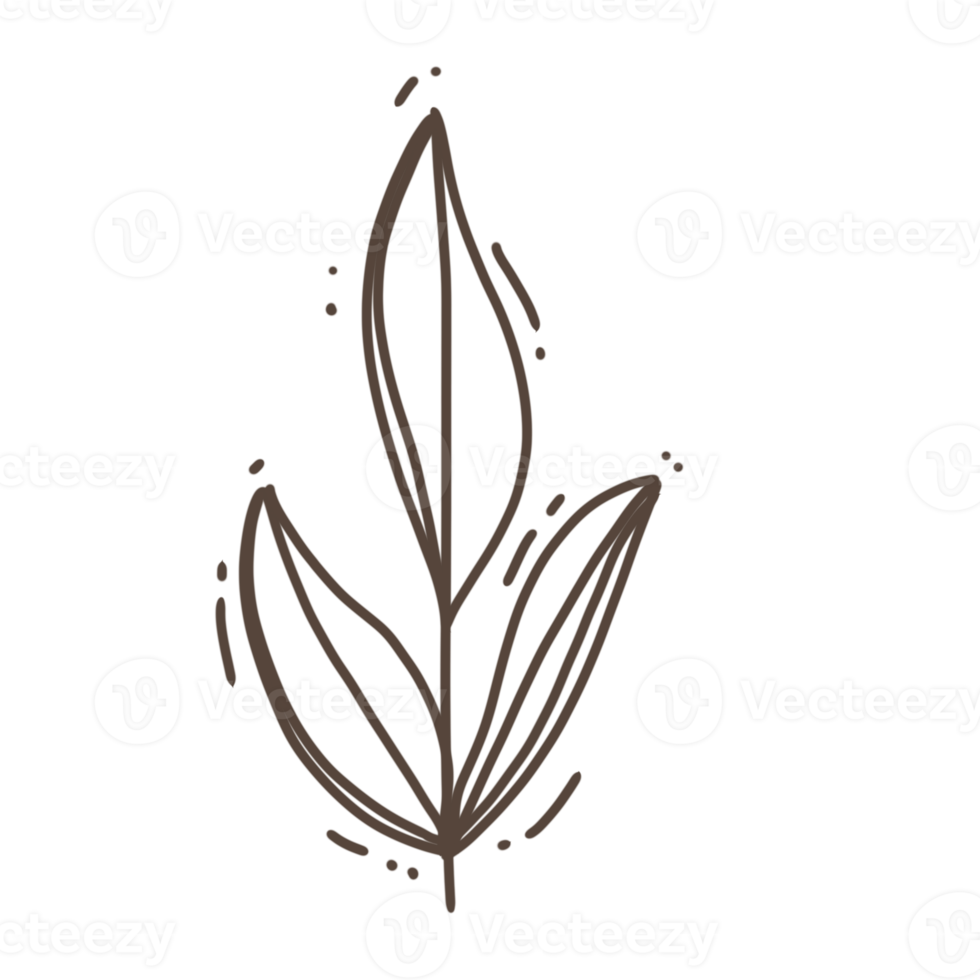 Minimal leaves doodle for decoration png