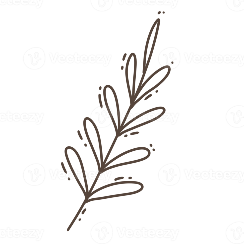 Minimal leaves doodle for decoration png
