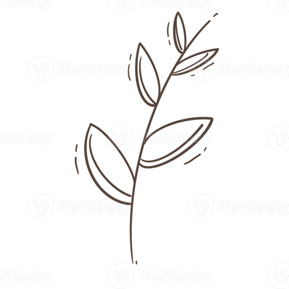 Minimal leaves doodle for decoration png