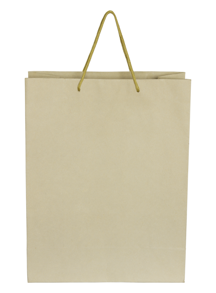 Brown paper bag isolated with clipping path for mockup png