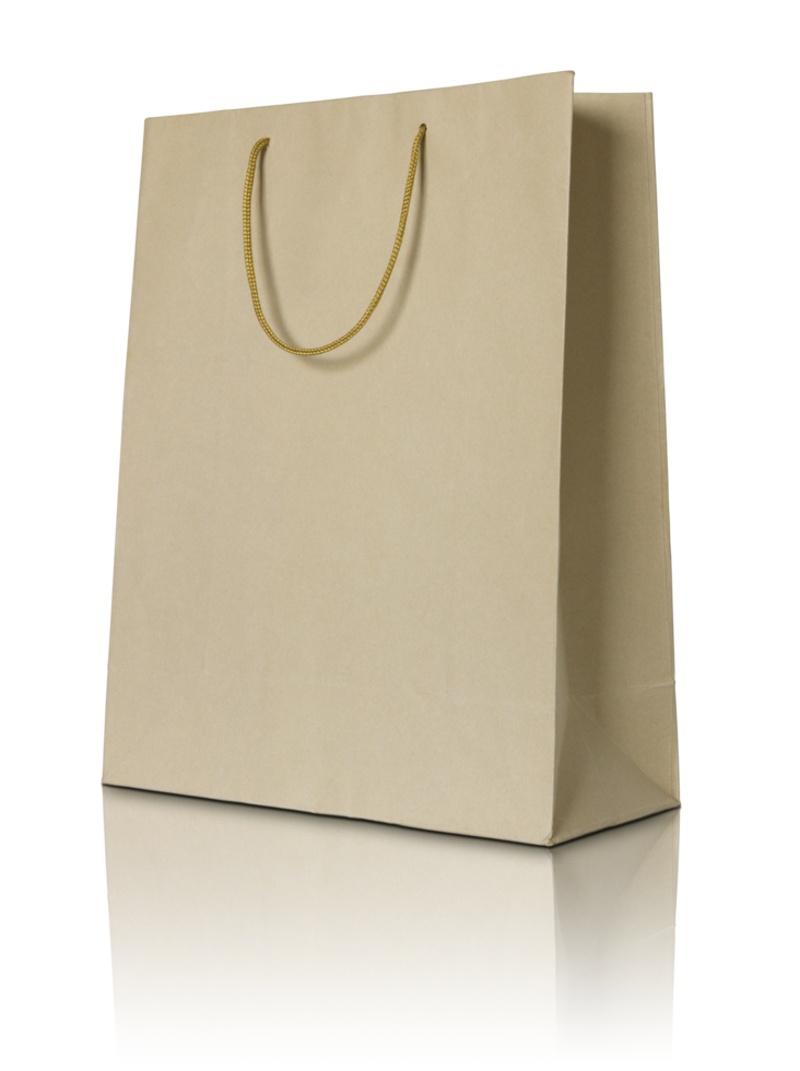 Brown paper bag isolated with reflect floor for mockup png