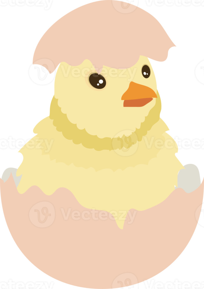 cute easter chick png