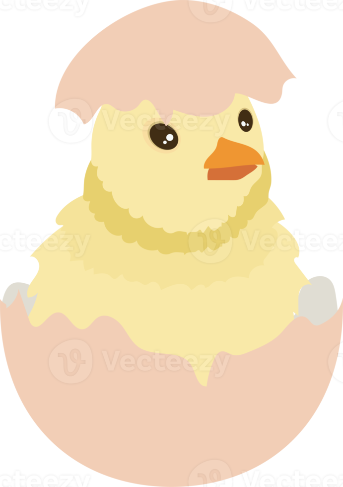 lindo pollito de pascua png