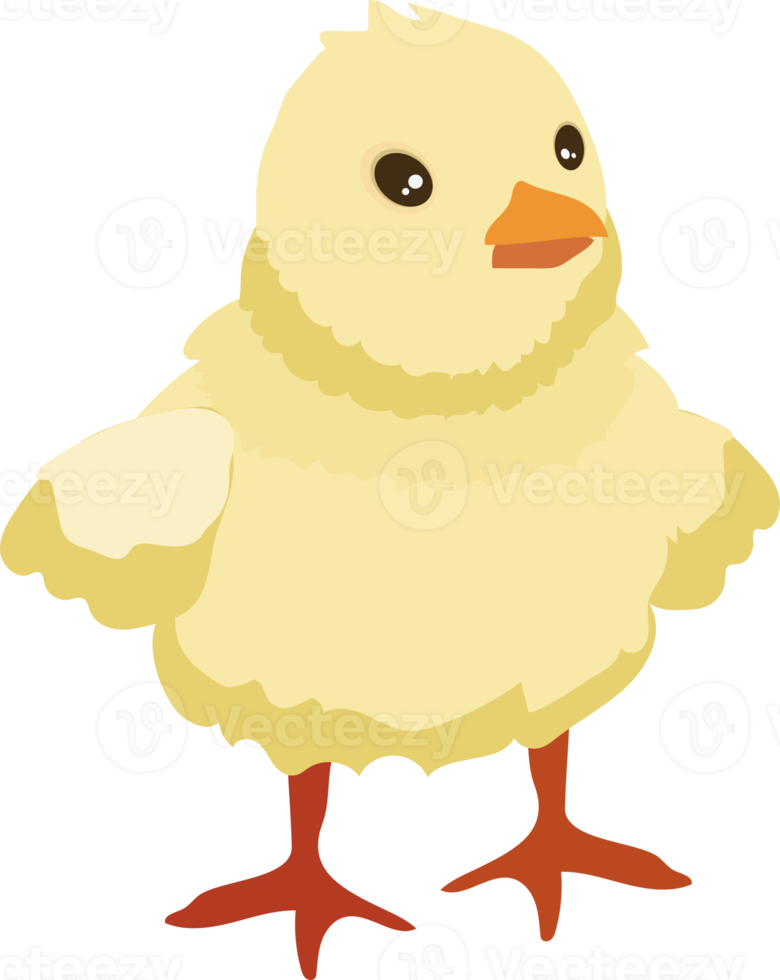 lindo pollito de pascua png