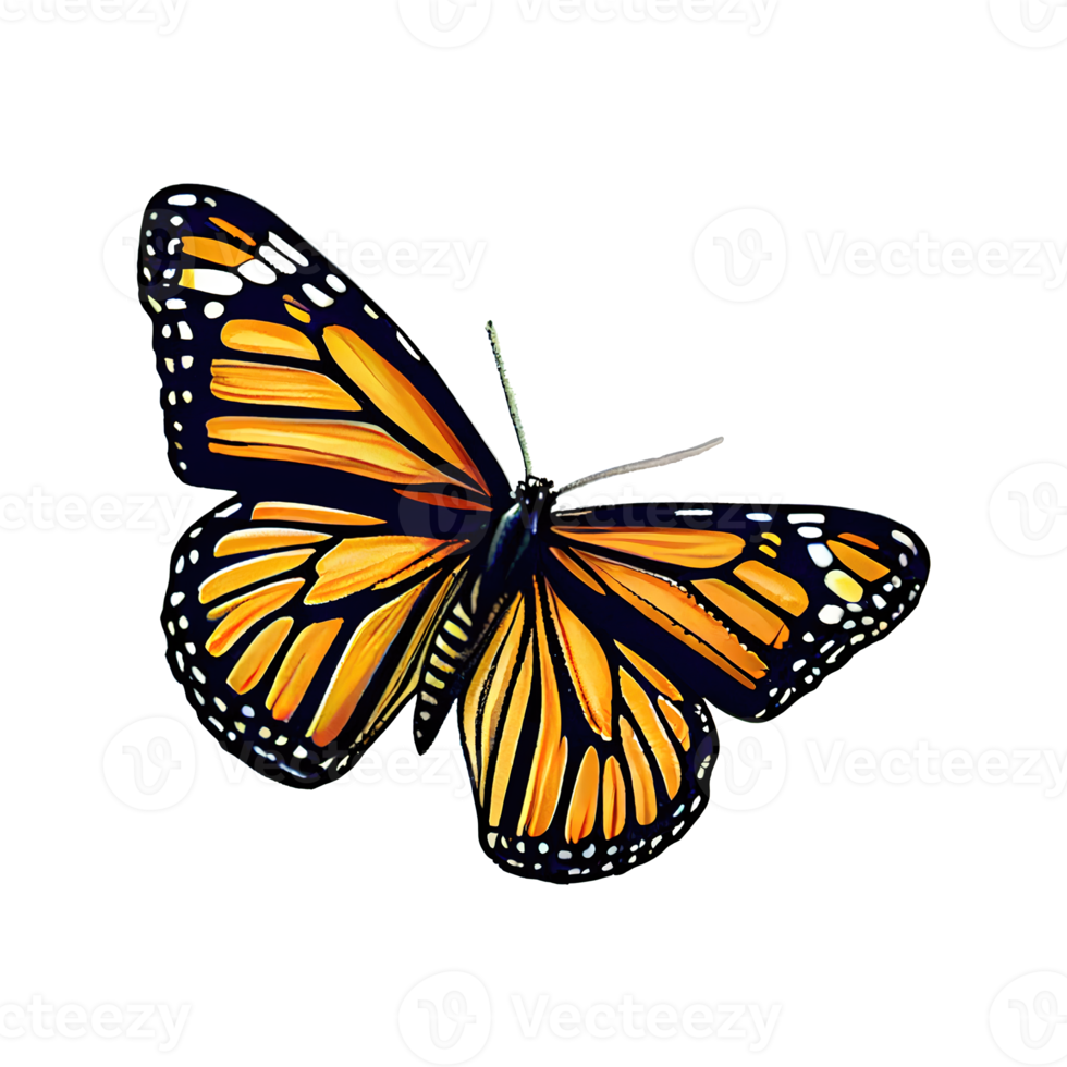 Cartoon sticker of a Monarch butterfly. Perfect for any project related to the beauty of nature. png