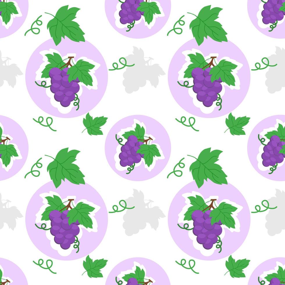 Seamless pattern of grapes on white background vector