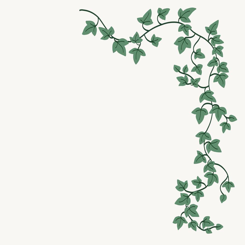 Floral ivy drawing decorative ornament flat design. vector