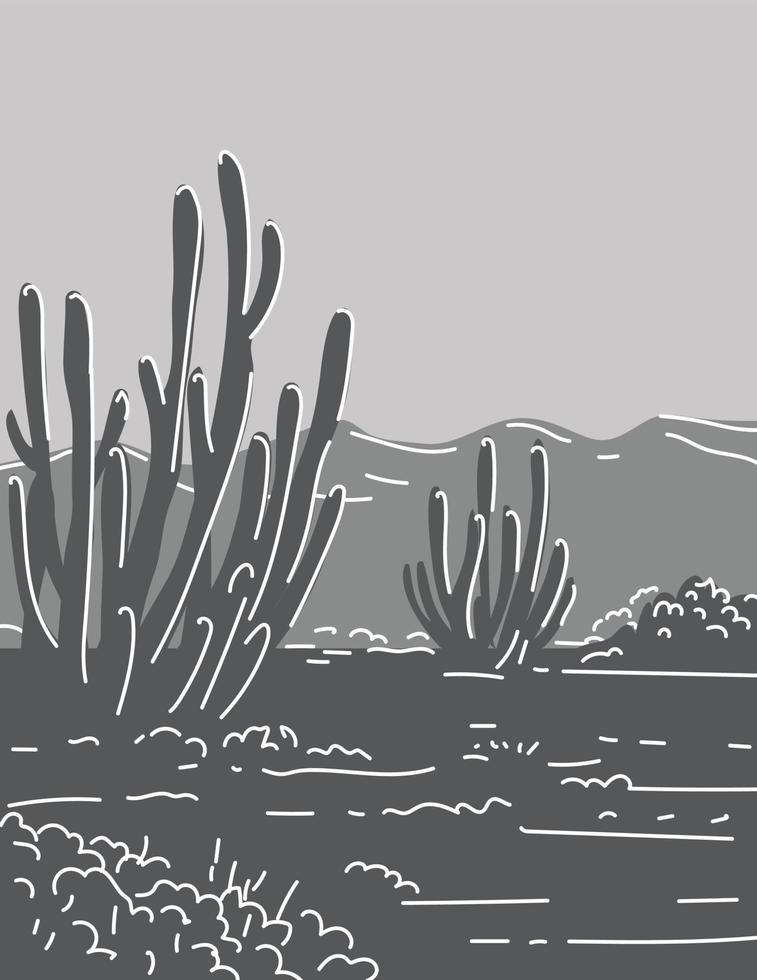 Organ Pipe Cactus National Monument in Arizona Monoline Line Art Grayscale Drawing vector