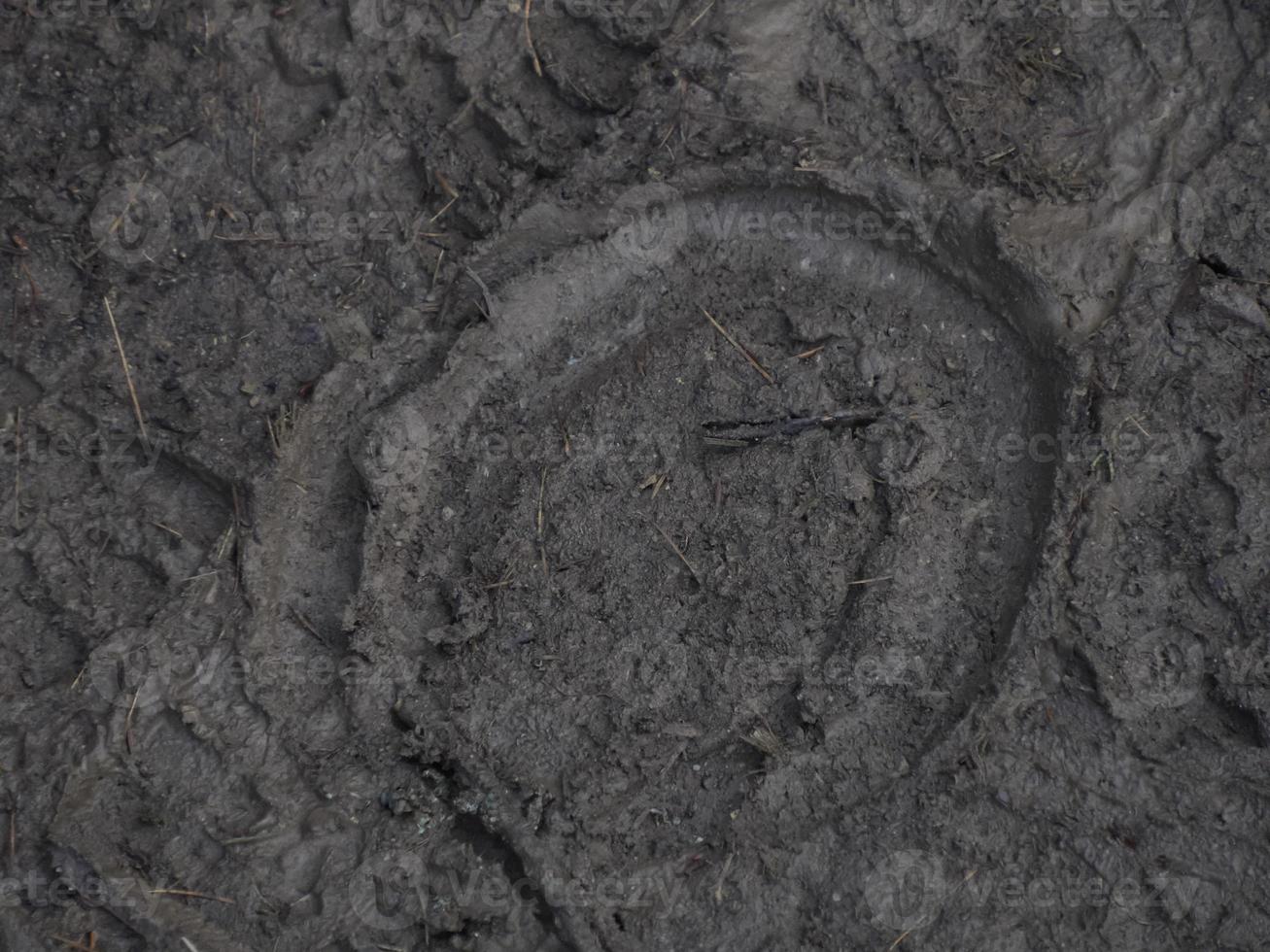 horse footprint in the mud photo