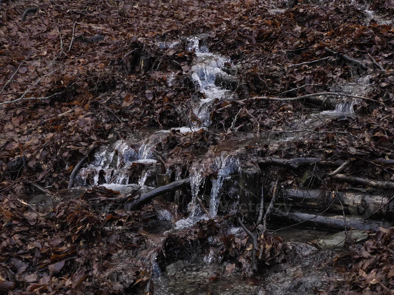 small flowing river due to snow melt forming a clean cascade with fresh cool water surrounded by vegetation mountain photo