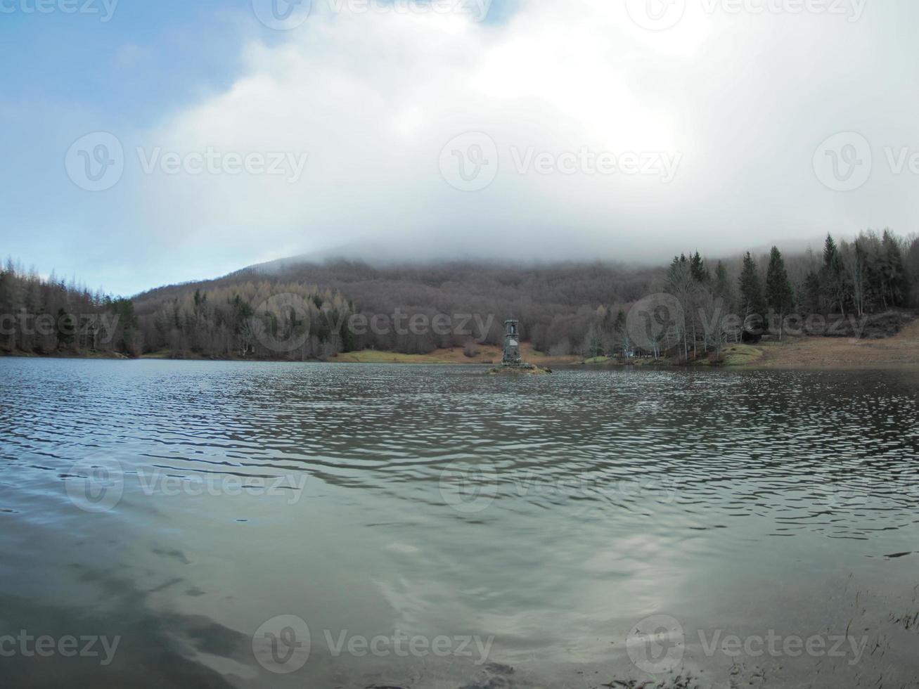 Beech forest with a very old tree in Calamone Ventasso Lake Italy photo