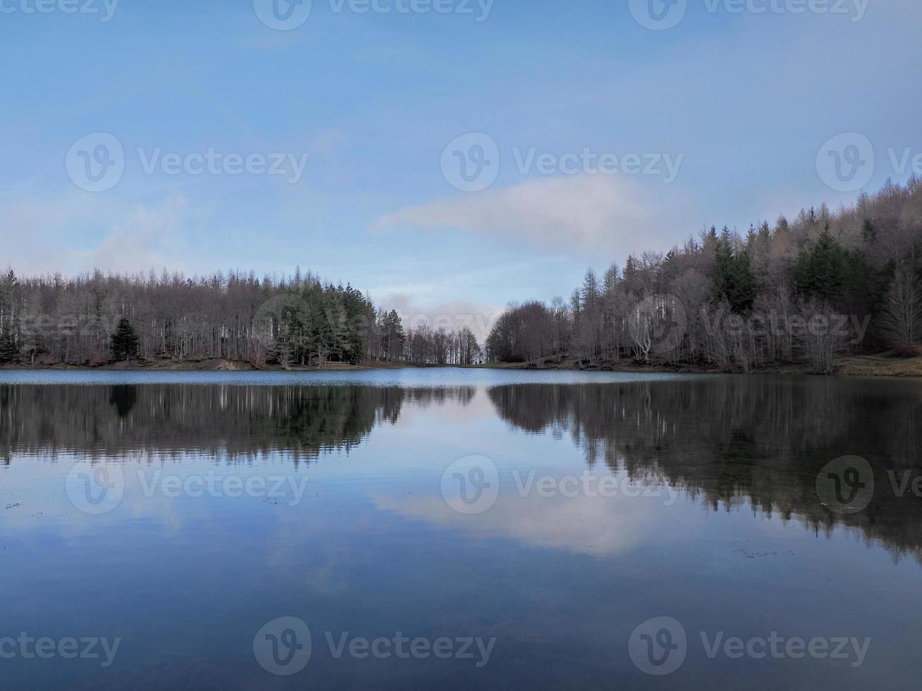 bosque de hayas con un árbol muy viejo en calamone ventasso lago italia foto