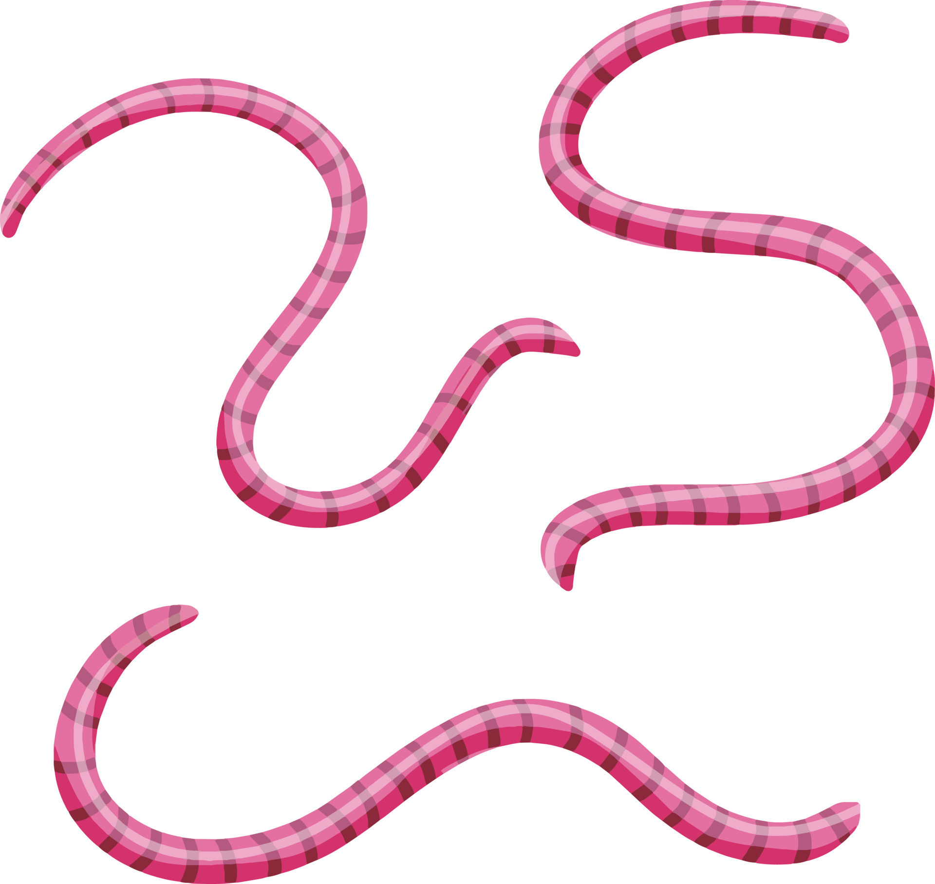 Earthworm. Pink worm and Underground insect. Fishing bait. Flat cartoon  illustration 17298606 Vector Art at Vecteezy