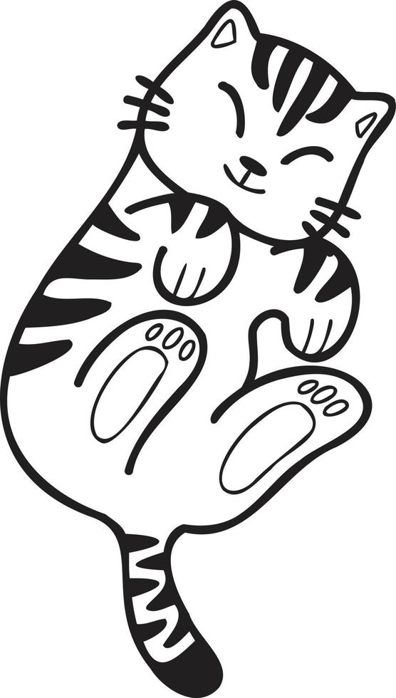 Hand Drawn Sleeping striped cat showing belly illustration in doodle style vector