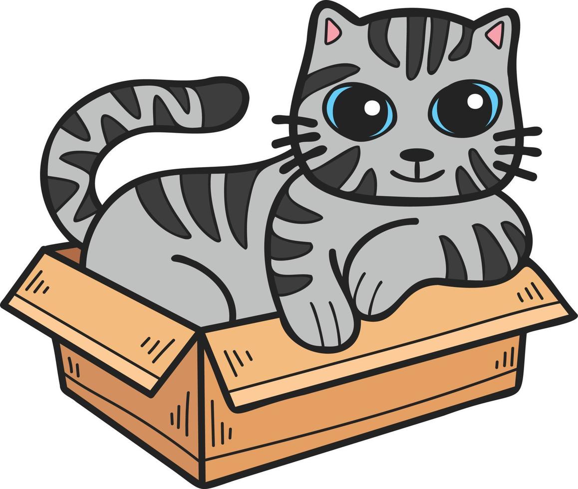 Hand Drawn striped cat in box illustration in doodle style vector