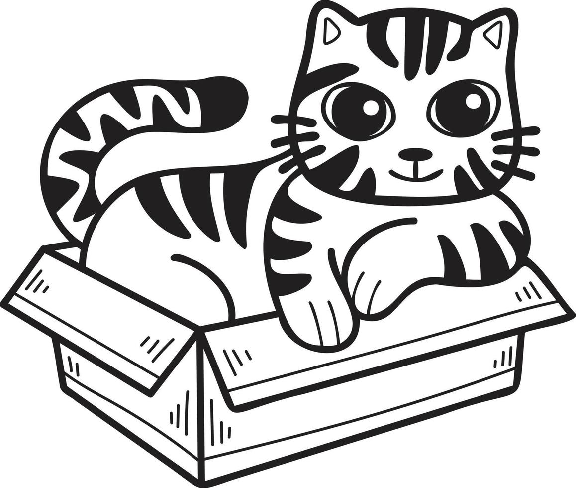 Hand Drawn striped cat in box illustration in doodle style vector
