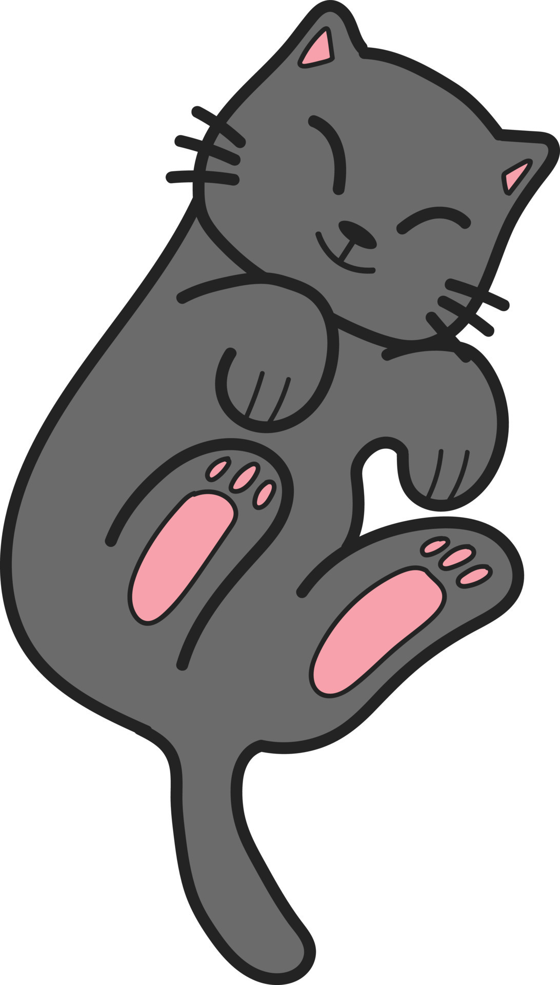 Hand Drawn Sleeping cat showing belly illustration in doodle style