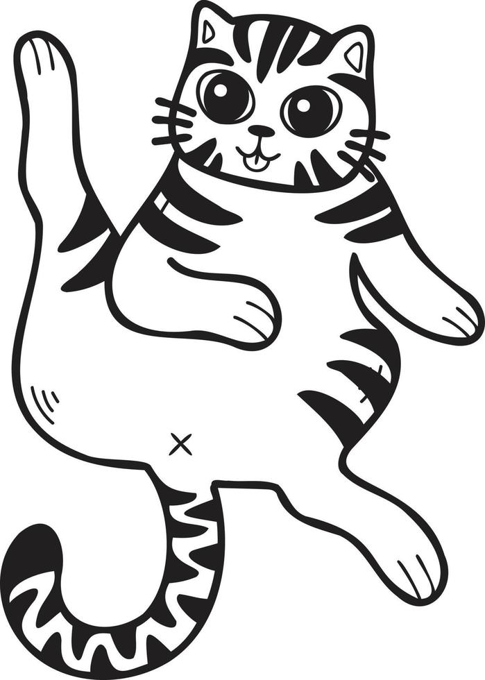 Hand Drawn Sleeping striped cat showing belly illustration in doodle style vector