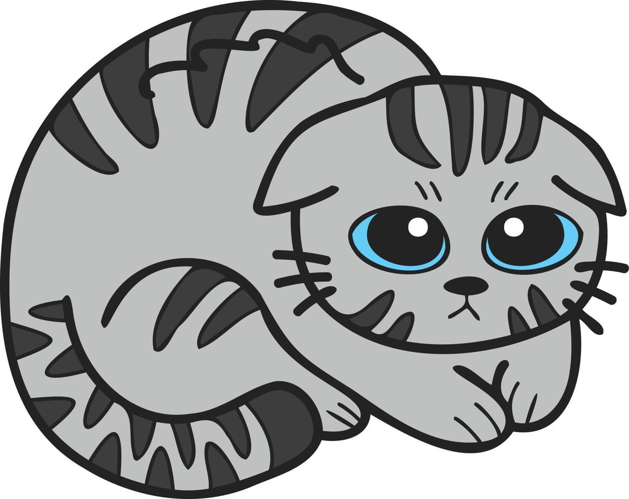 Hand Drawn scared or sad striped cat illustration in doodle style vector