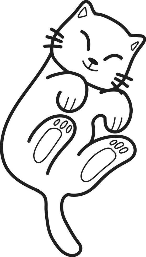 Hand Drawn Sleeping cat showing belly illustration in doodle style vector