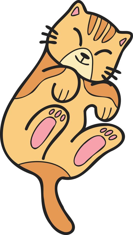 Hand Drawn Sleeping striped cat showing belly illustration in doodle style vector