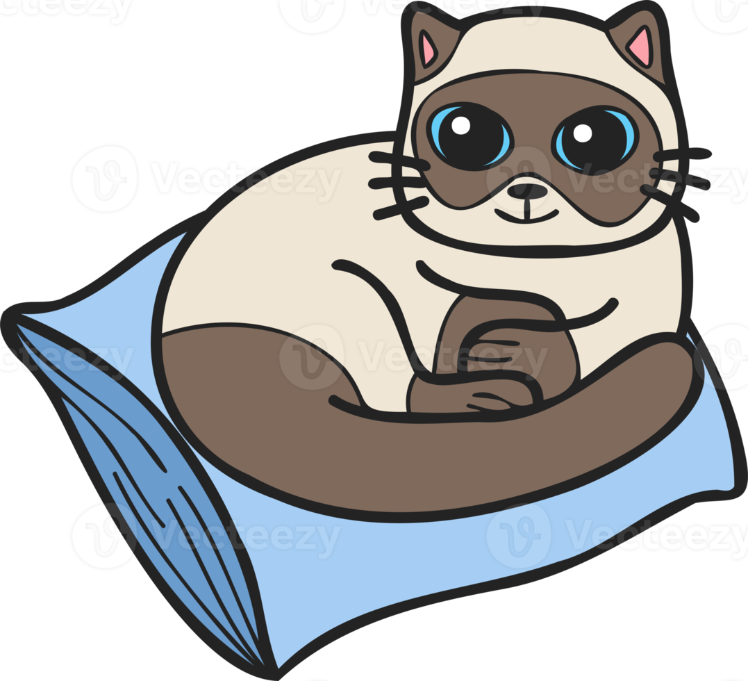Hand Drawn cat sleeping on pillow illustration in doodle style png