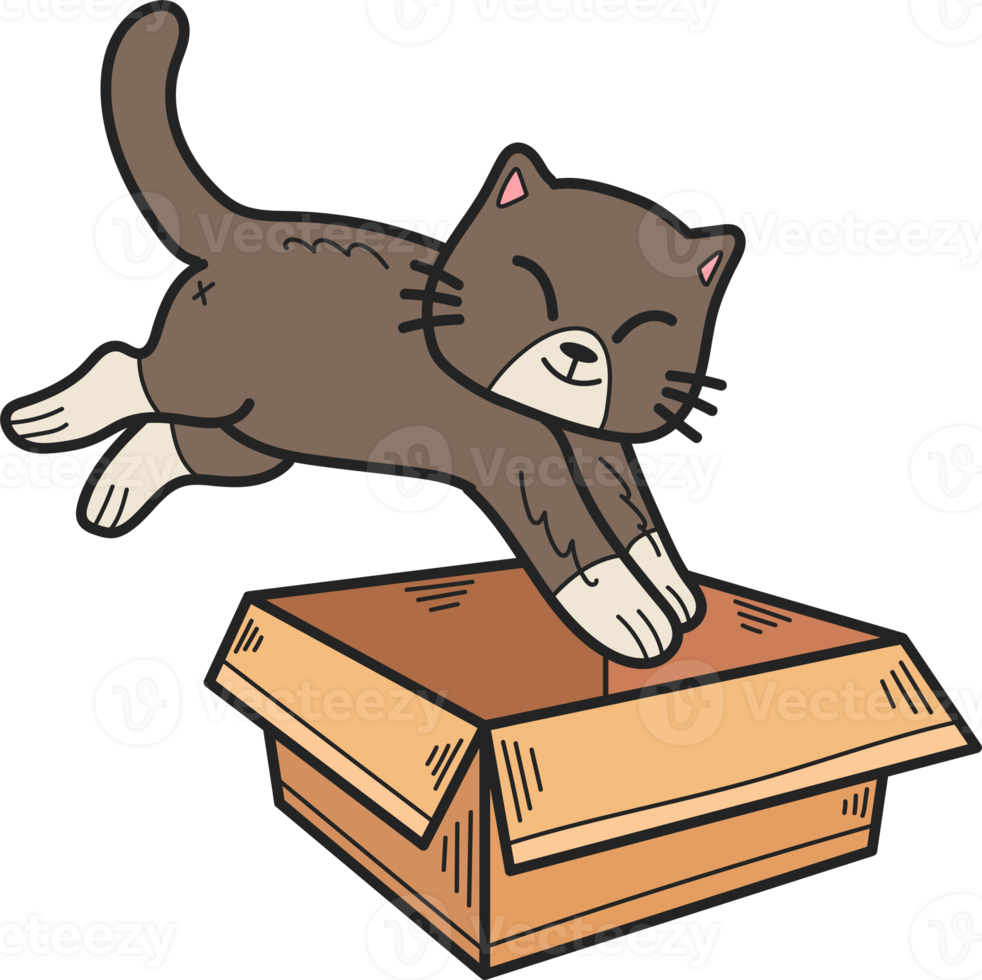 Hand Drawn kitten jumped into the box illustration in doodle style png