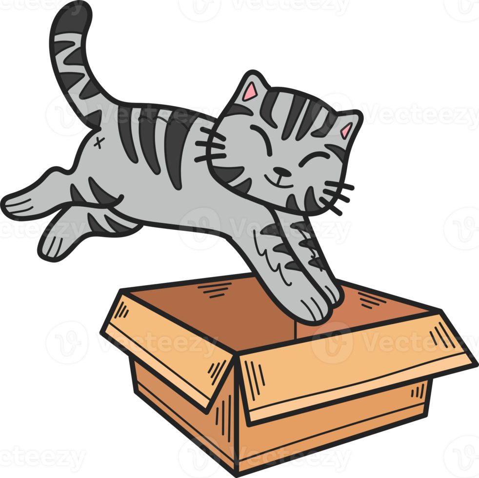 Hand Drawn striped cat jumped into the box illustration in doodle style png