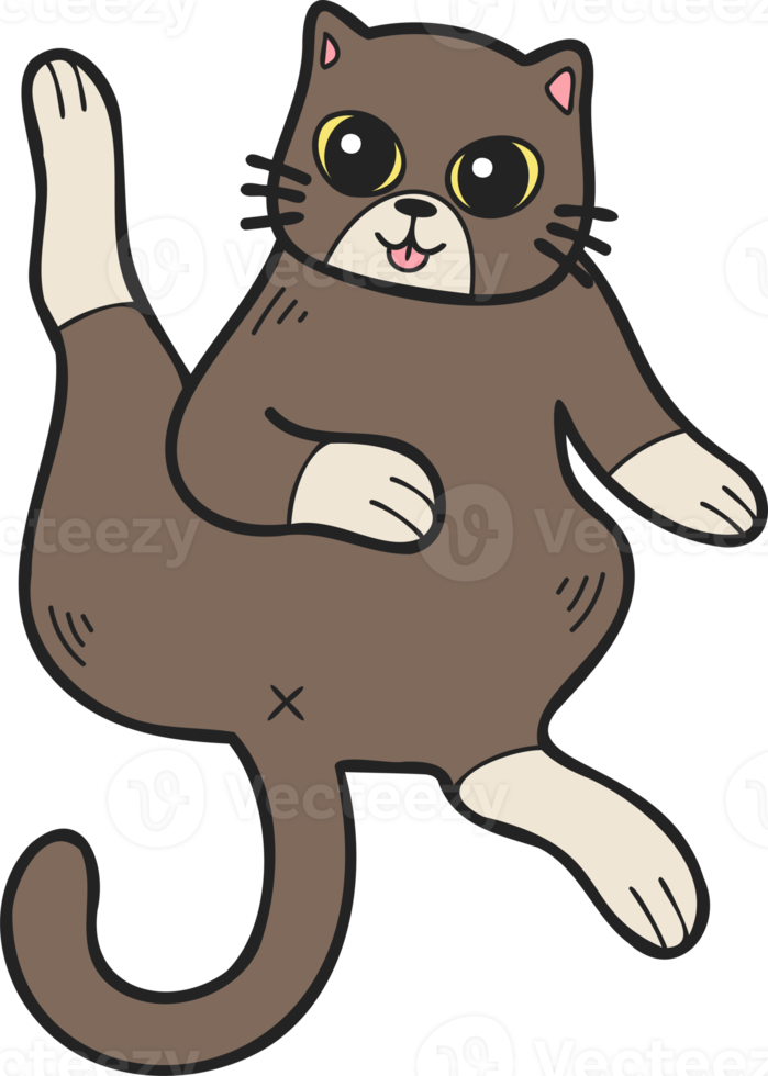 Hand Drawn Sleeping cat showing belly illustration in doodle style png