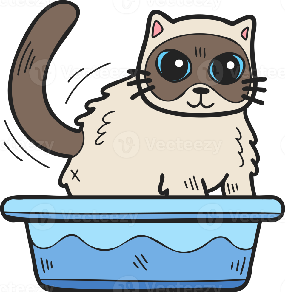 Hand Drawn cat with tray illustration in doodle style png