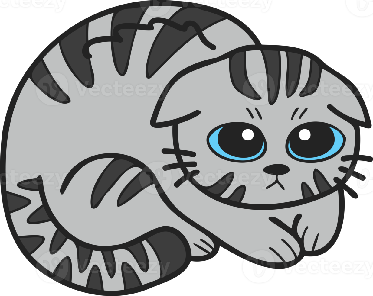 illustration de chat rayé effrayé ou triste dessiné à la main dans un style doodle png