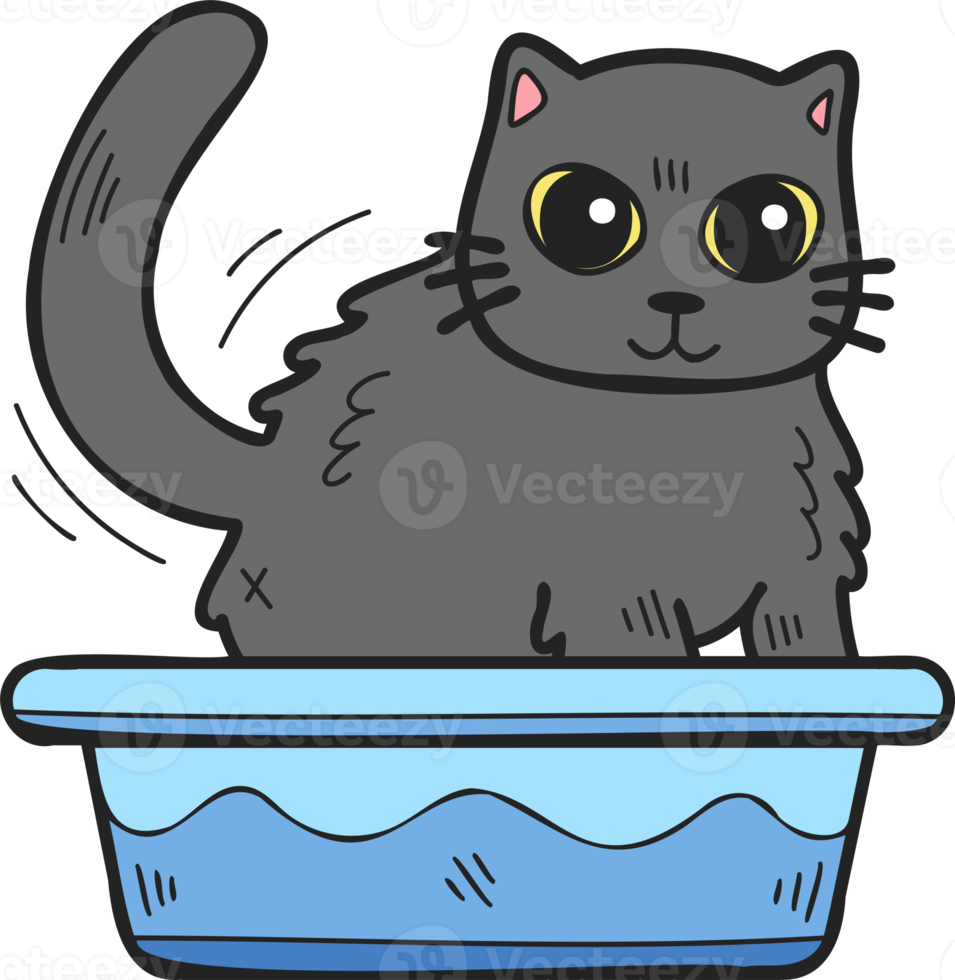 Hand Drawn cat with tray illustration in doodle style png