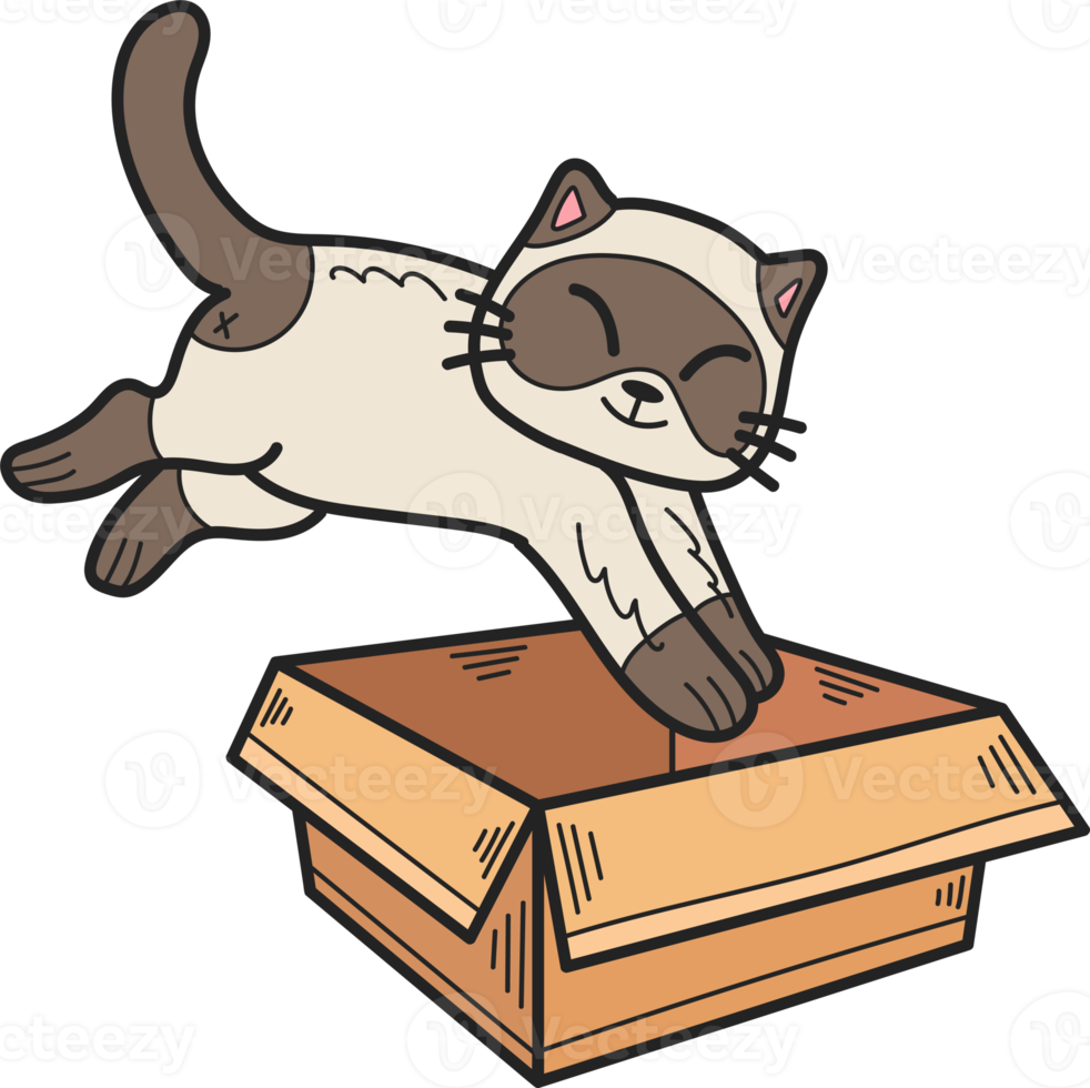 Hand Drawn kitten jumped into the box illustration in doodle style png