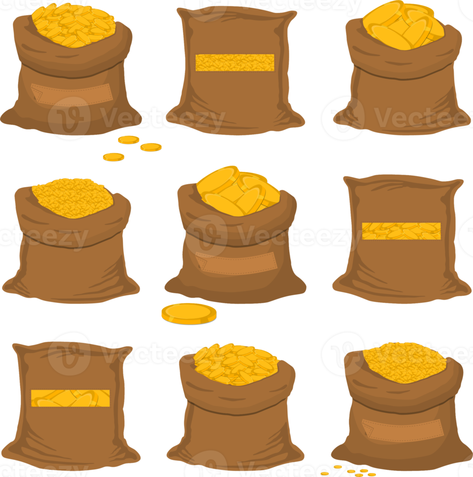 big colored set different types bags, full sack of coins 17303514 PNG
