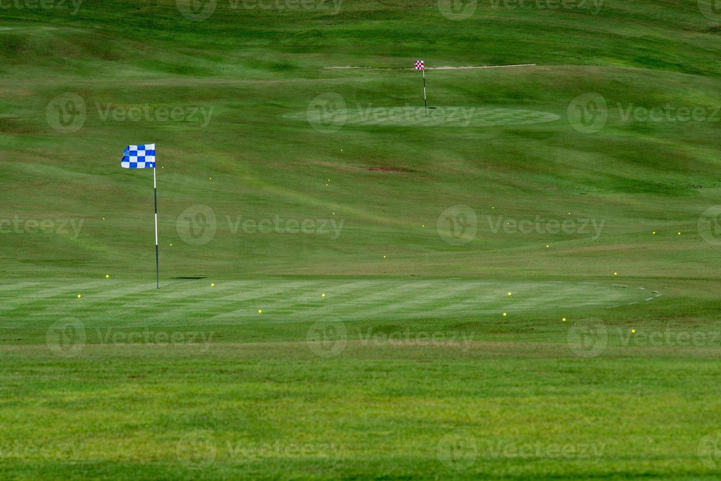 desert golf course green photo