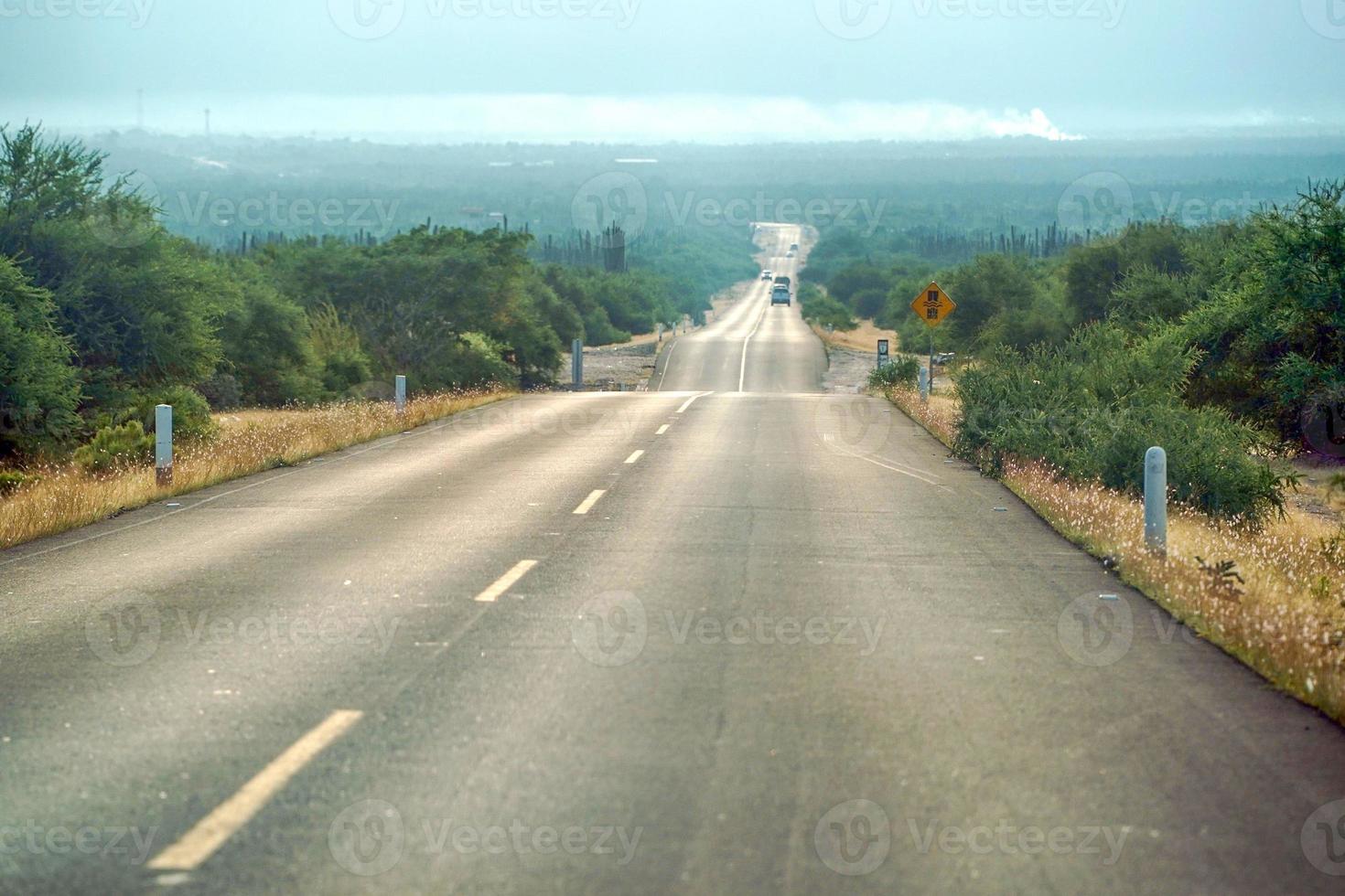 baja california la paz to san jose del cabo endless road photo