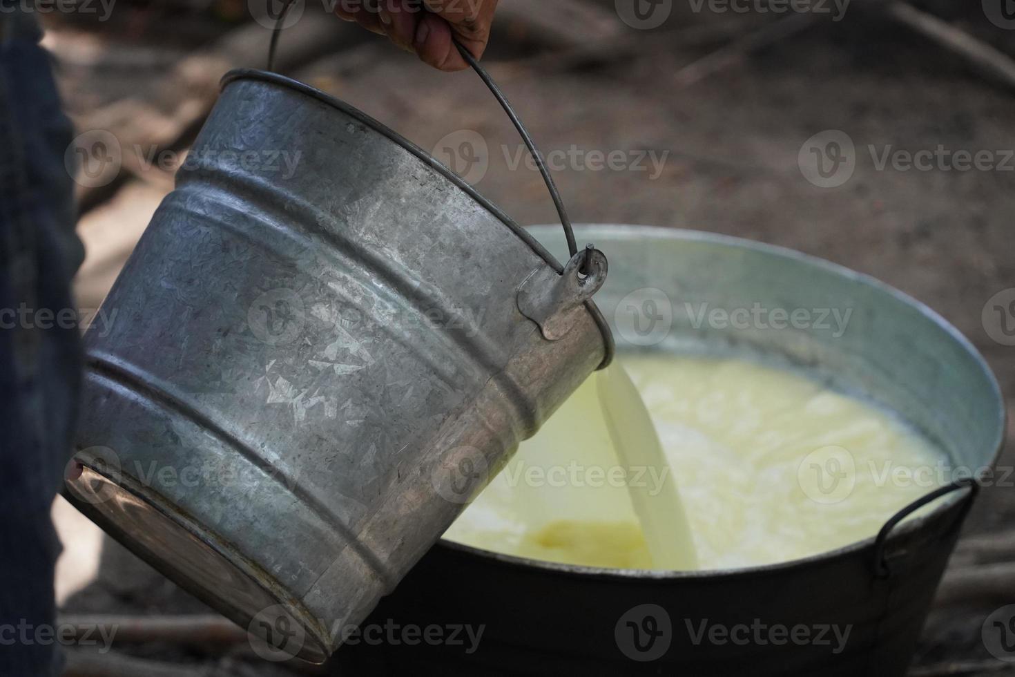 Hand made fresh cheese photo