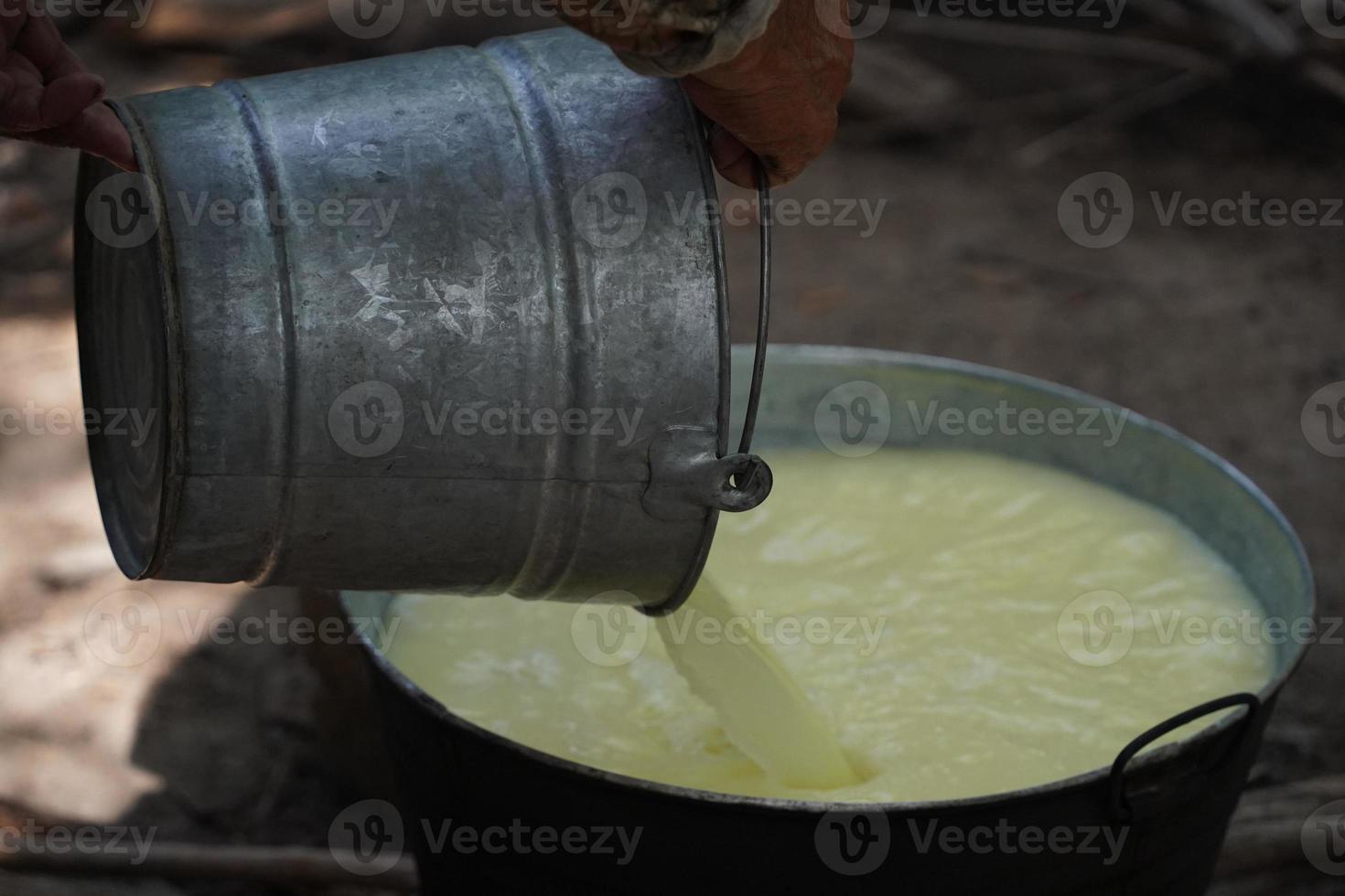 Hand made fresh cheese photo