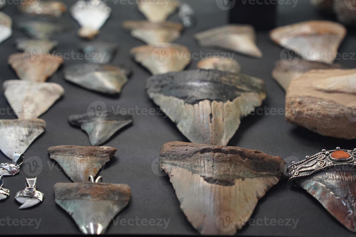 shark teeth pendant in jewelry store photo