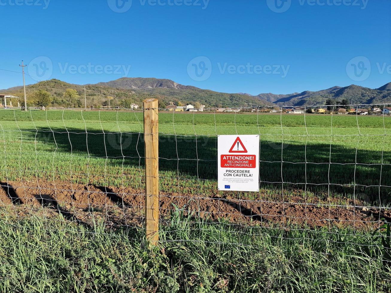 wild boar disease fence swine fever in italy photo