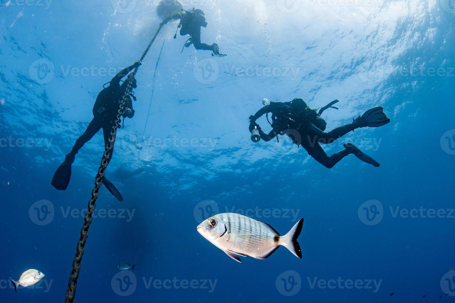 divers under boat for deco time in the blue photo