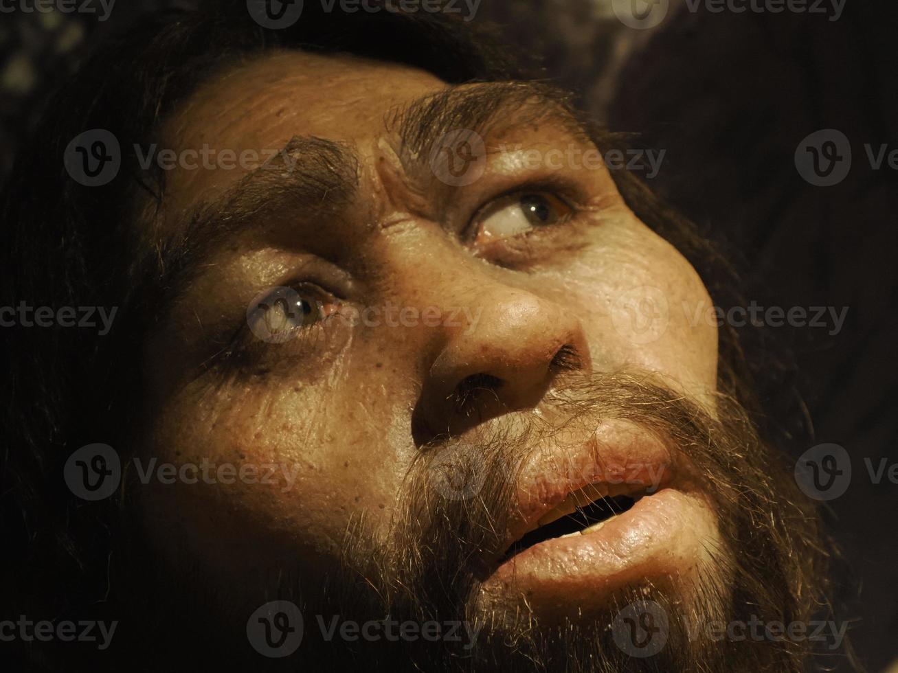 Neanderthal prehistoric man lucy style evolution display photo