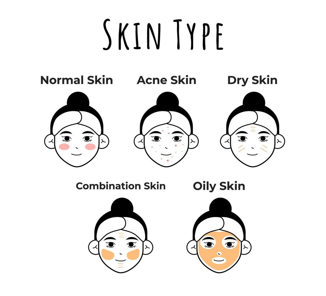 Skin type illustration vector